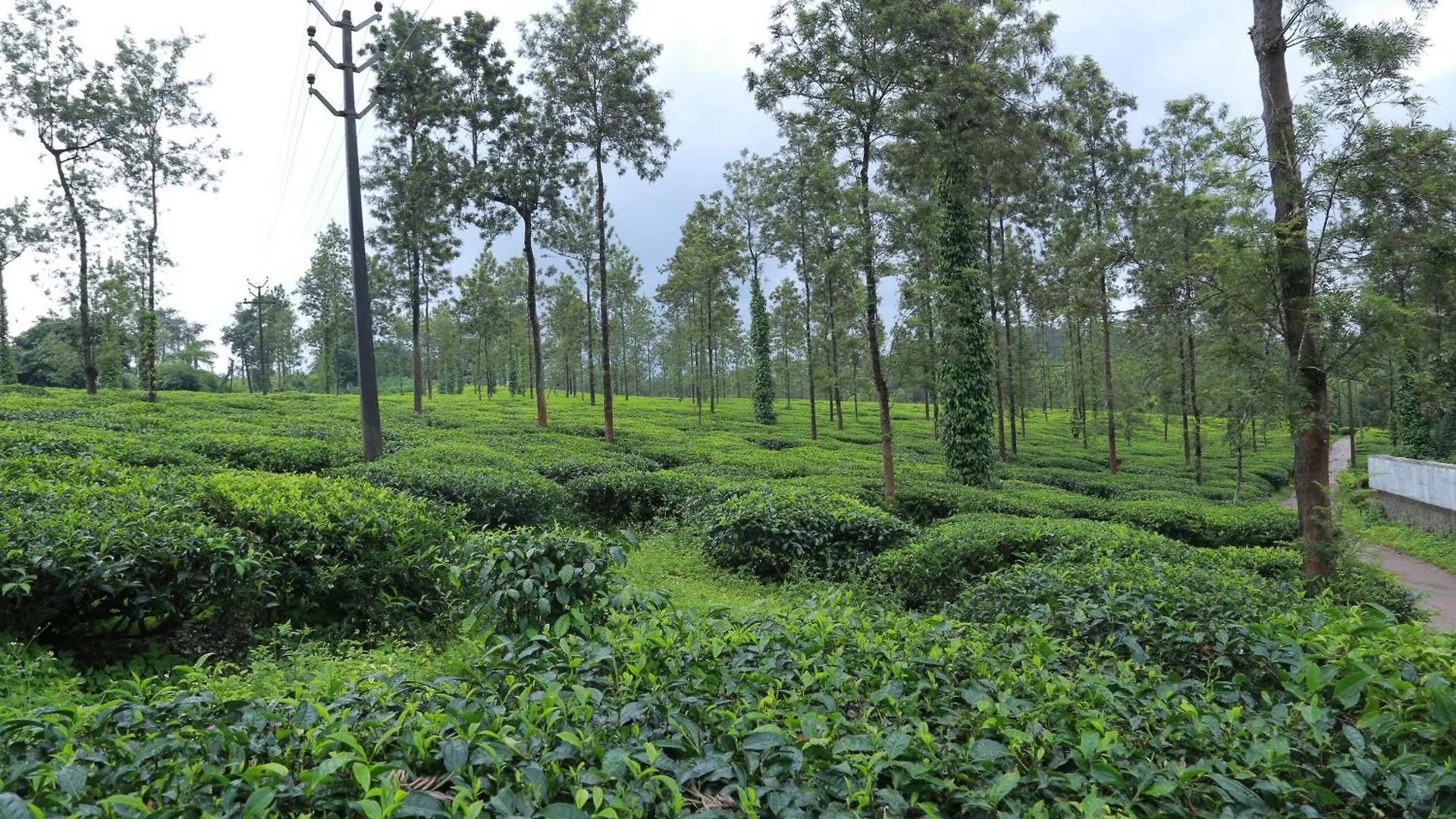 Citadel Holiday Home Vythiri India