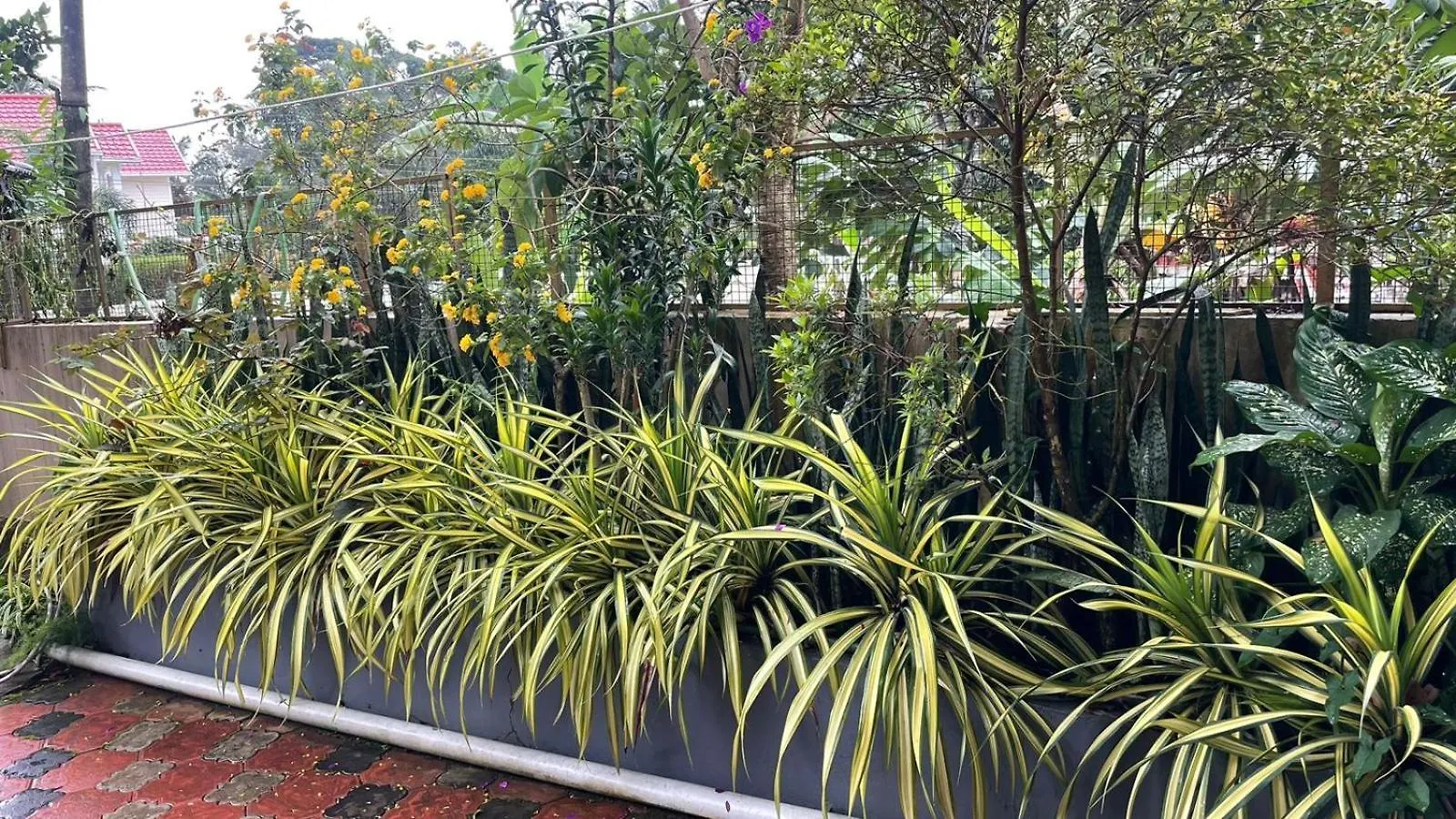 Citadel Holiday Home Vythiri India